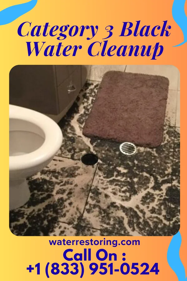 Category 3 Black Water Cleanup in Badger Lee, OK