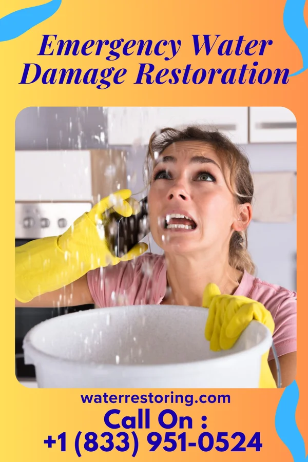 Emergency Water Damage Restoration in Badger Lee, OK