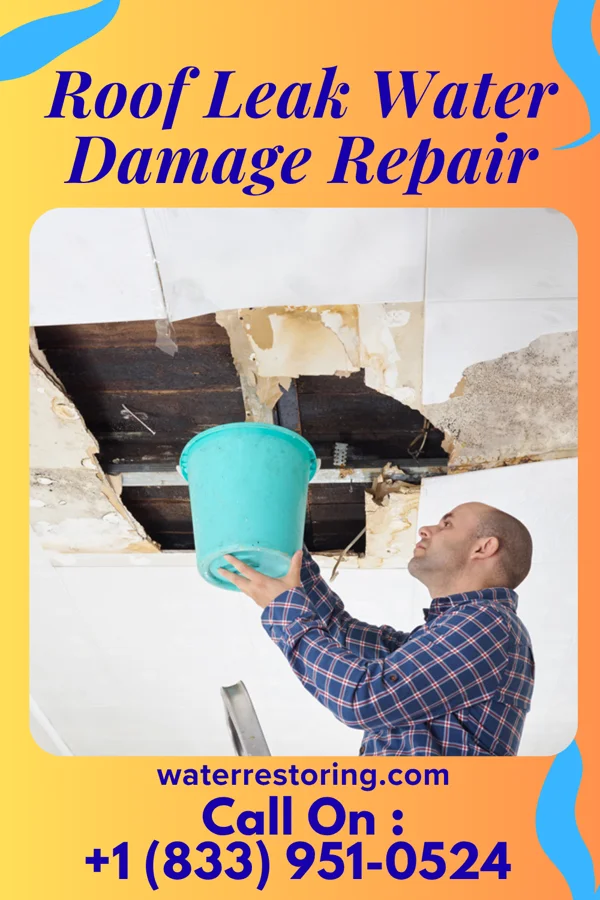 Roof Leak Water Damage Repair in Badger Lee, OK